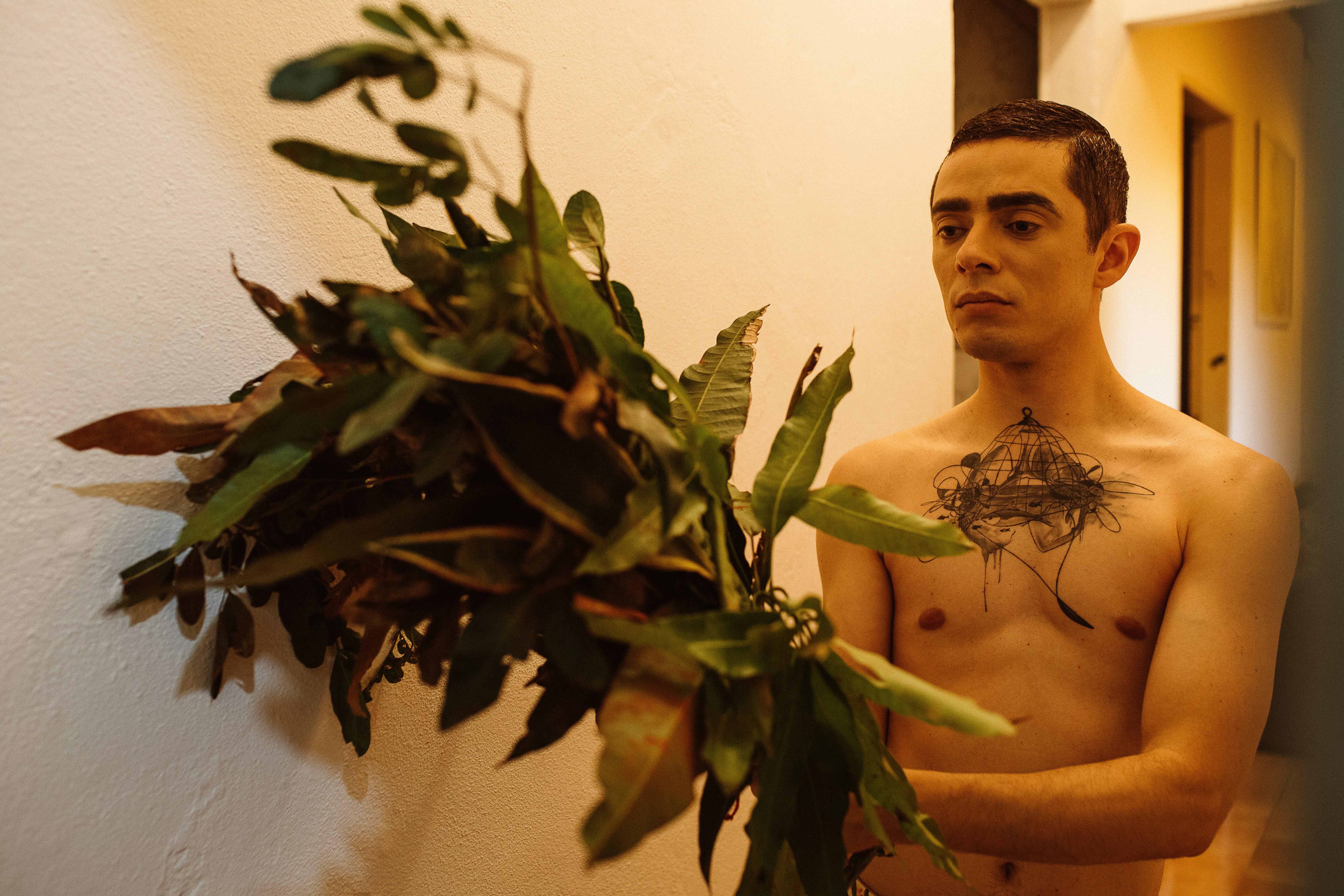 topless woman standing beside green plant